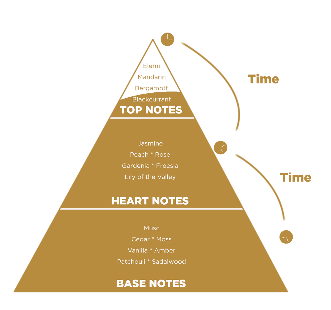 Scent Pyramid – Umberto Felipe